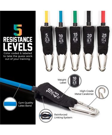 Resistance Bands Set (12 Piece) - Pro Series with Door Anchor Ankle & Wrist Straps Exercise Guide & Carrying Bag for Strengthening & Training - Ship Internationally - Buy Online on GoSupps.com