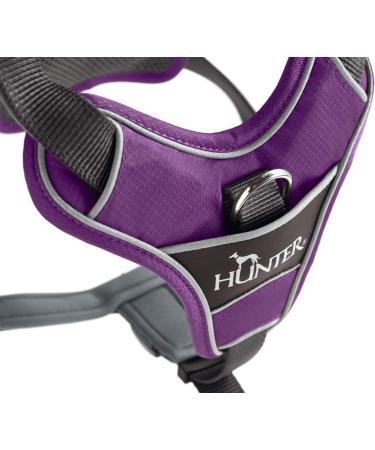 HUNTER DIVO Dog Harness - Large (72-100 cm) - Purple/Grey | Premium Comfort & Safety | International Shipping Available - Buy Online on GoSupps.com