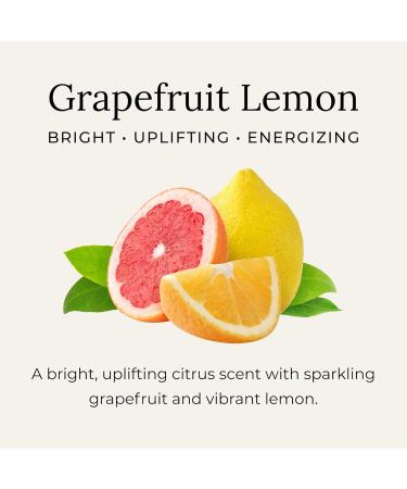  Little Seed Farm All Natural Deodorant Cream - Grapefruit Lemon - Aluminum Free Deodorant for Women or Men, Net Wt. 2.4oz | 68g - Buy Online on GoSupps.com