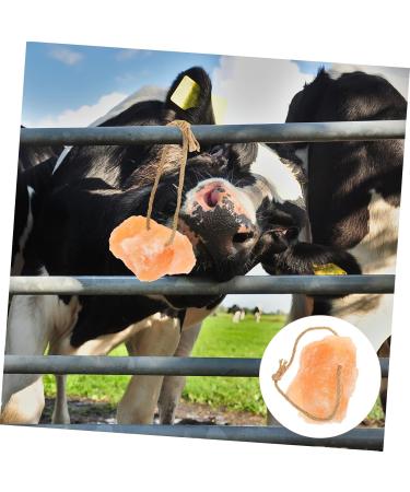 DOITOOL Livestock Salt Lick Animal Farm Supply Salt Licking Block Small Pets Lick Salt Nutrition Pendant - Buy Online on GoSupps.com