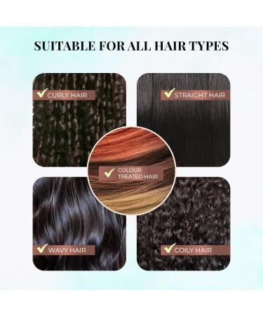 Shirolepam Ayurvedic Hair & Scalp Treatment Mask Cream - Natural Hair Growth & Damage Repair - Paraben & Silicone Free - 200g for Men & Women - Buy Online on GoSupps.com