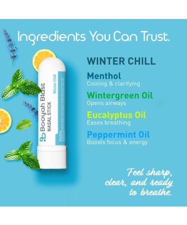 BOOYAH BLAST Nasal Sticks 4PK - Winter Chill - Buy Online on GoSupps.com