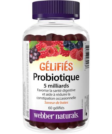 Webber Naturals Probiotic Gummy 5 Billion Active Cells 60 Gummies Digestive Support Vegan - Buy Online on GoSupps.com