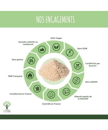Psyllium Blond Bio - Bioptimal - Teguments de Psyllium en Poudre Fine - Husk Powder - Farine - Digestion Transit Coupe Faim - Origine Inde - Conditionn en France - Certifi Ecocert - 150g 150 g (Lot de 1) - Buy Online on GoSupps.com