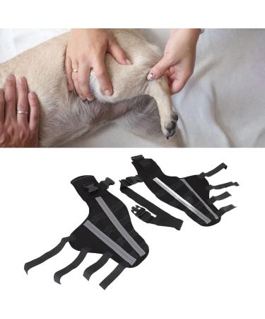 Pet Knee Joint Wrap Reflective Soft Material Inflammation Reduction Stable Dog Hind Leg Support Brace for Knee Dislocation L - Buy Online on GoSupps.com