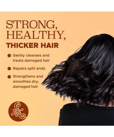 Luseta Hair Growth Shampoo - Turmeric & Collagen Thickening Formula for Thinning & Oily Hair - Color Safe Sulfate & Paraben Free - 16.9 Oz - Buy Online on GoSupps.com
