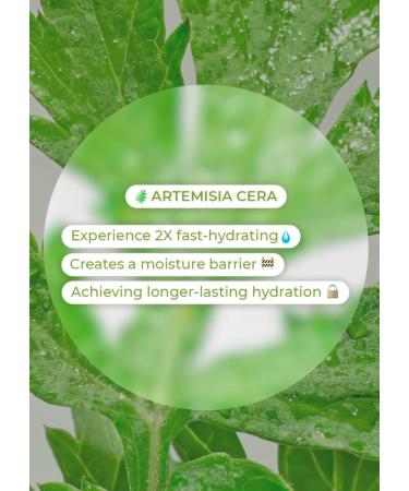 BRING GREEN Artemisia Cera Calming Moisture Repair Cream - Vegan Skincare for Redness Relief & Hydration | Soothing Moisturizer for Sensitive Dry & Oily Skin - Buy Online on GoSupps.com
