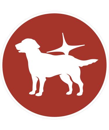 Purina ONE Mini 10 kg for Small Dogs with Dental Care with Chicken and Rice 8 Bags of 800 g - Buy Online on GoSupps.com