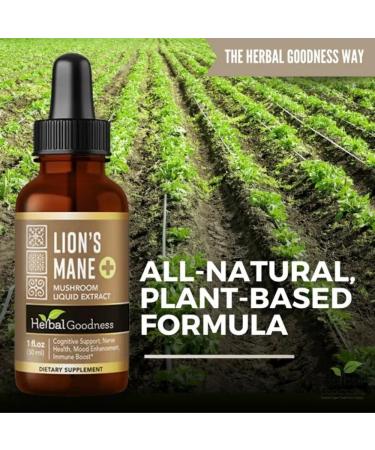 Herbal Goodness Lions Mane Mushroom Supplement Liquid 1 fl.oz - Brain & Focus Support Nootropic USDA Organic Lions Mane Extract Tincture Brain Health Supplement Non GMO Sugar & Alcohol Free - Buy Online on GoSupps.com
