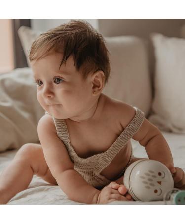 Suavinex Green Pacifier Box - Holder for 2 Pacifiers with Flexible Handle | Bonhomia | International Shipping - Buy Online on GoSupps.com