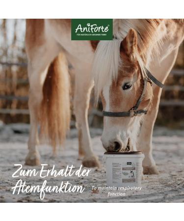AniForte Bronchial Herbs for Horses 1kg - Natural Respiratory Support with Methylcysteine | Cough Relief & Healthy Airways - Buy Online on GoSupps.com