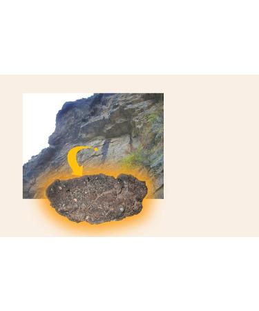 Buy Dragon Herbs High Mountain Shilajit 450mg - 60 Capsules for Energy & Vitality - Buy Online on GoSupps.com