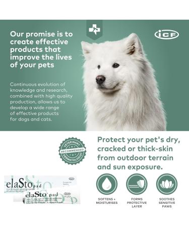 3263 I.C.F. IND.CHIMICA FINE ELASTOPAD POM 75 ml - Buy Online on GoSupps.com