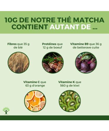 Matcha Tea Powder - Powerful Antioxidant - Japanese Premium Quality - Green Food Coloring - Kitchen and Infusion - Made in J - Buy Online on GoSupps.com