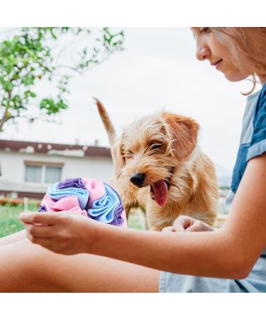 Buy Sniffball for Dogs - Interactive Sniffing Carpet Toys for Stress Relief & Intelligence Training | Washable Pet Feed Mat - 20cm Colorful for Small to Medium Dogs - Buy Online on GoSupps.com
