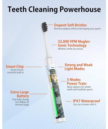 Sonicare Electric Toothbrush - 2 Minute Timer 5 Modes 32000VPM Extra Soft Waterproof Replaceable Brush Head for Dental Cleaning & Whitening - Shop Internationally - Buy Online on GoSupps.com
