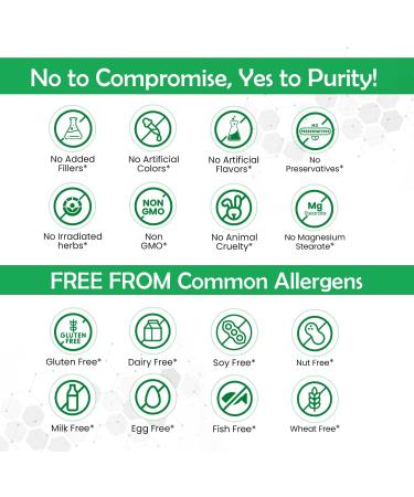 Well-Being MORA Moringa Oleifera Capsules Energy, Joint, Skin & Immune Support Green Superfood Vegan, No Gluten, Multivitamin Lab Tested 60 Count (Pack of 1) - Buy Online on GoSupps.com