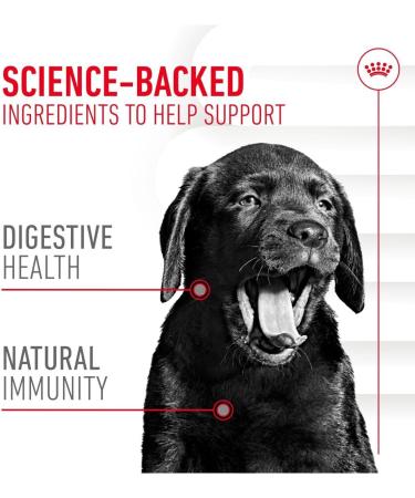 Royal Canin Puppy Supplement for Immunity & Digestion Soft Chews 100g - Buy Online on GoSupps.com