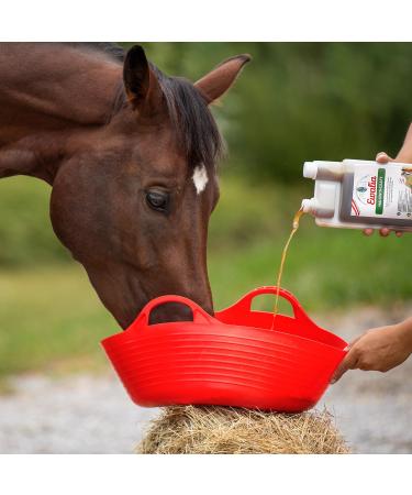 Ewalia Cervical Juice - Soothing Food Supplement for Horses - Promotes General Well-being - Natural Herbal Formula for Vitality - Developed with Veterinarians - 2 x 1 L - Buy Online on GoSupps.com