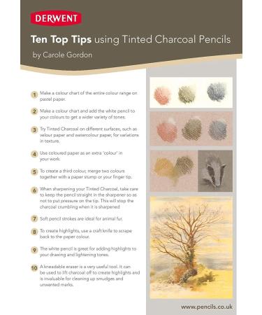 Derwent Charcoal Collection Pack - 10 Count (2300675) - Buy Online on GoSupps.com