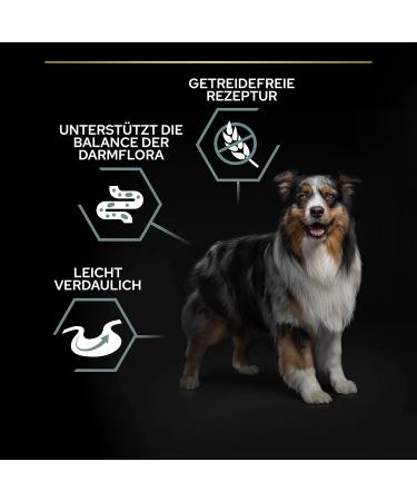 PURINA PRO PLAN | Medium & Large Adult 1+ | Sensitive Digestion | Grain Free | Rich in Turkey | Grain Free Dry Food | Ch - Buy Online on GoSupps.com