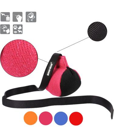 Dingo Gear Training Toy Ball 9cm - Black-Rosa with 65cm Handle | French Nylcott Material for IGP Obedience & Apport Training | Ideal Small Dog Toy - Buy Online on GoSupps.com