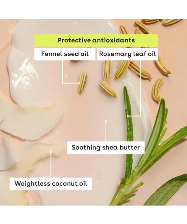 eos 100% Natural & Organic Lip Balm Sticks - Vanilla Bean All Natural Lip Balm All-Day Moisture Dermatologist Recommended 0.14 oz 2-Pack Vanilla Bean 0.14 Ounce (Pack of 2) - Buy Online on GoSupps.com