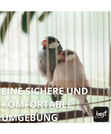 Best Quartz Sand for Bird Cages - 5 KG Home Bird Sand 0.5-1.0 mm | Premium Cage Bedding - Buy Online on GoSupps.com