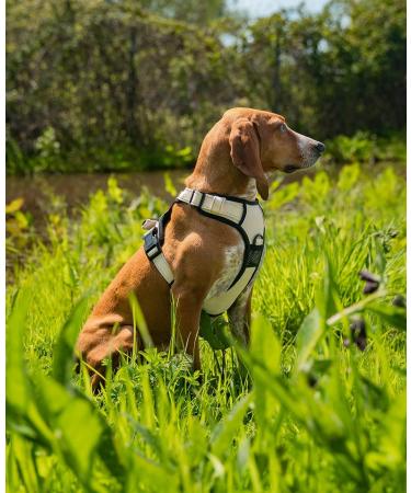 Lionto Dog Harness - Padded Anti-Pull Reflective Safety Harness Adjustable Size M in Beige - Ideal for Comfortable Walking - Buy Online on GoSupps.com