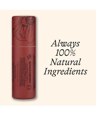 Poppy & Pout Jumbo Lip Balm 2 Pack All Natural Lip Balms & Moisturizers Hydrates with Beeswax Vitamin E Organic Coconut Island Coconut & Cinnamint - Buy Online on GoSupps.com