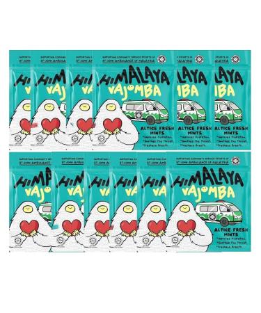 Bonbons Sal s Altice Fresh Himalaya Sports - 12 Sachets de 15g - Confiserie Rafra chissante Sport - Bonbons Fra cheur Intense Naturelle