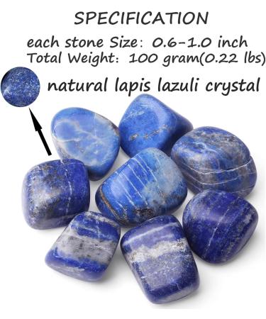 XIANNVXI Lapis Lazuli Crystal Stones - Natural Polished Tumbled Stones for Decoration and Energy Healing - 100g - Buy Online on GoSupps.com