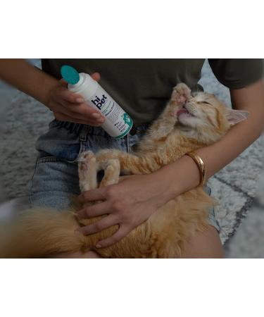 HiPet Paw Cleaner Foam for Dogs and Cats - 150 mL Effortless Dog and Cat Paw Moisturizer - Buy Online on GoSupps.com