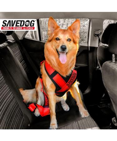 SAVEDOG Safety Harness for Medium Dogs | Car Chest Harness - Secure & Comfortable - Buy Online on GoSupps.com