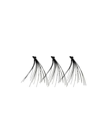Kiss I Envy Ultra Black Medium Lashes - Dramatic & Natural | Buy Online - Buy Online on GoSupps.com