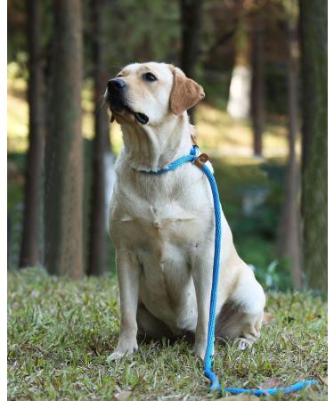 Buy Lynxking Tow Lines for Dogs - Durable Dog Linen for Small Medium & Large Breeds (Blue 0.9cm x 180cm) - Ideal for Training & Safety - Buy Online on GoSupps.com