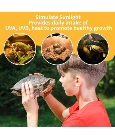 Caldarax 50W UVB Turtle Heat Lamp - Dimmable Halogen Light for Reptiles Turtles Lizards & Snakes | 2-Pack E27 Terrarium Lamps 220-240V - Buy Online on GoSupps.com