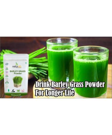 DX3 Barley Grass Juice Powder |Super food |Natural Alkaline and Chlorophyll - 100 GM - Buy Online on GoSupps.com