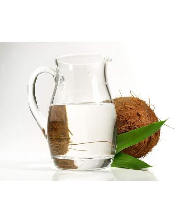 Dr Joe Lab MCT Oil 1 Gallon - 100% Pure Fractionated Coconut Vegan Medium Chain Triglycerides for Skin Hair Nails & Body - Grade A Quality Carrier Oil - Buy Online on GoSupps.com