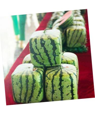 Uonlytech Fruit Vegetables Cucumber Molds for Garden Stair Basket Vegetable Molds Tool Forming Machine Pumpkin 15x15cm Transparent - Buy Online on GoSupps.com