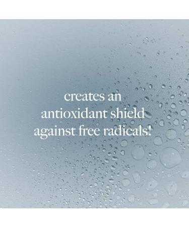 Dermalogica Antioxidant Hydramist 30ml - Reduces Fine Lines & Hydrates Protects the Skin Against Free Radicals Daily Use for Continuous Hydration for All Skin Types - Buy Online on GoSupps.com