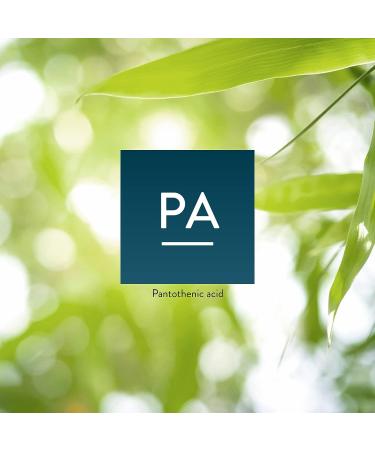 Natures Sunshine Pantothenic Acid 100 Capsules | Vitamin B5 for Nervous System Support & Adrenal Gland Function - Buy Online on GoSupps.com