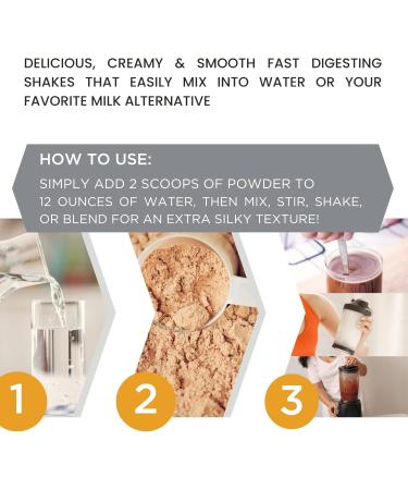 Organic Vegan Plant Protein Powder - Chocolate 25g Protein Dairy-Free Sugar-Free Gluten-Free Keto Low Carb 30 Servings 36oz - Buy Online on GoSupps.com