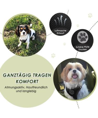 Slowton Dog Harness with Safety Belt for Car - Breathable Dog Seat Belt with 2 Carabiner Hooks - Black (Medium) | Buy Internationally - Buy Online on GoSupps.com