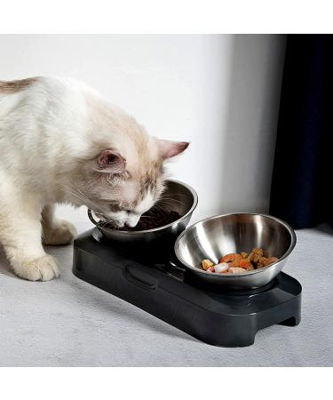 Jemirry Elevated Cat Bowl - Anti-Vomiting 15 Tilted Raised Stainless Steel Pet Bowls with Non-Slip Stand - Prevents Cat and Dog Vomiting, Protects Spine - Dishwasher Safe - Set of 2 Bowls - Buy Online on GoSupps.com
