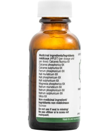 Buy Jackson's 12-in-1 Cell Salt (500 Pellets Size 30) | Certified Vegan & Lactose-Free | Best for Health & Wellness | International Shipping Available - Buy Online on GoSupps.com