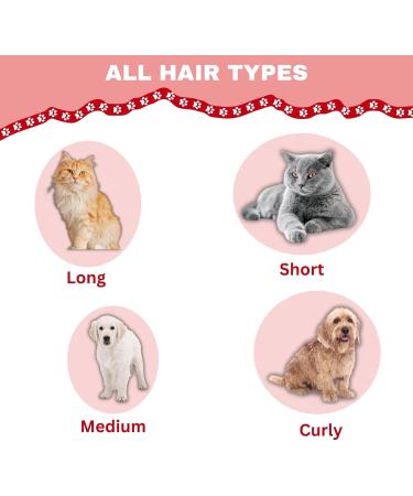Cat Brush Dog Brush FurCare Cat Comb Cat Grooming Brush for Short/Long Haired Cats Cat Hair Brush Remover Kitten Brush Self-Cleaning Cat Brush for Shedding to Remove Loose Mats and Tangles - Buy Online on GoSupps.com
