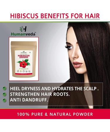 READ QURA Amla Powder Indian gooseberry with hibiscus flower powder Hibiscus rosasinensis 100 natural pure and organic for hair and skin care 100 g +100 g 200 g Pack of 2 - Buy Online on GoSupps.com
