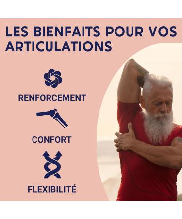 FORMULA JOINTS | Turmeric Harpagophytum Boswellia Serrata Bamboo | Joints Flexibility Mobility | 100% Natural Food Supplement | 60 Capsules | Made in France - Buy Online on GoSupps.com