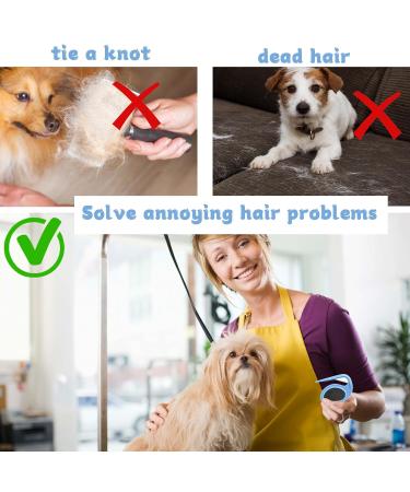 2-Piece Pet Knotting Comb Tool - Best Hair Removal Comb for Cats & Dogs | Remove Matted Hair - Green & Blue - Buy Online on GoSupps.com